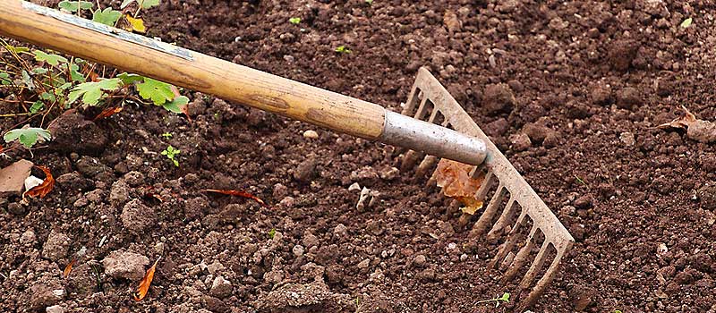 jardinage rateau