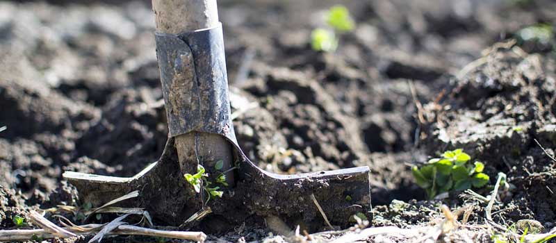 le lexique du jardinage