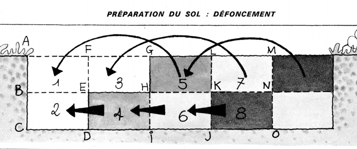 Préparation du sol pour les haies