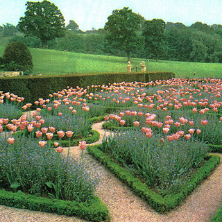 Jardin Angleterre