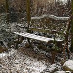 Jardin en hiver
