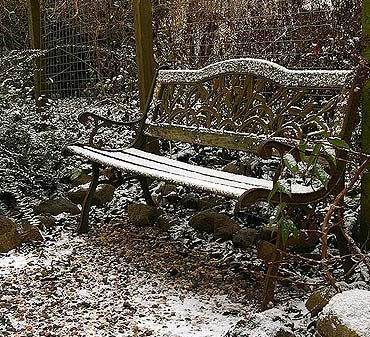 Jardin en hiver