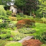 Plantes d'extérieur