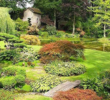 Plantes d'extérieur