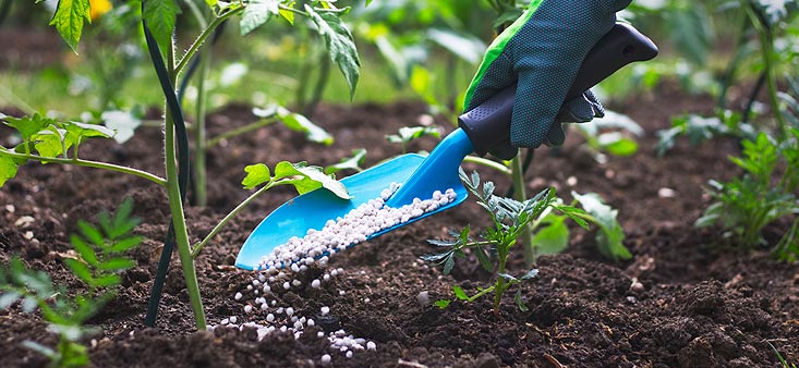 Épandeur d'engrais en plastique pour pelouse, diffusion dans le jardin