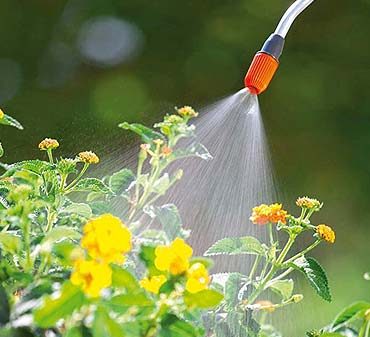 Bien choisir son pulvérisateur pour le jardin