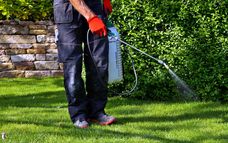 Comment choisir son pulvérisateur de jardin ?