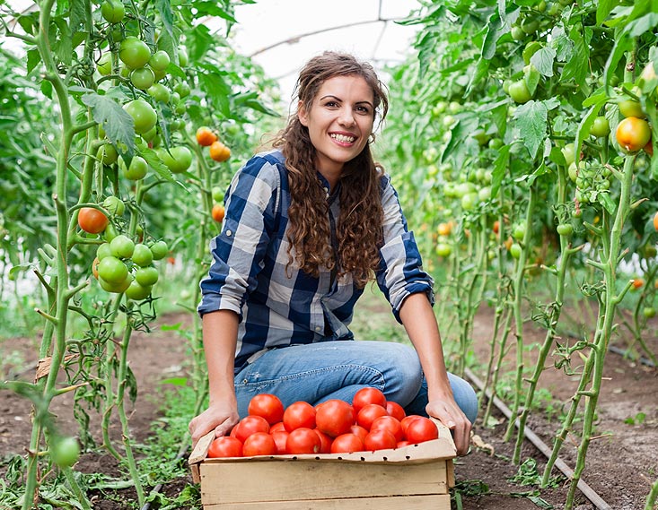 choisir sa serre de jardin