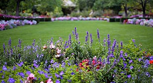 Fleurir et arborer son jardin