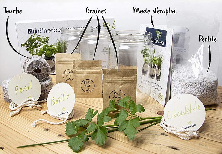 kit prêt à pousser d’herbes aromatiques