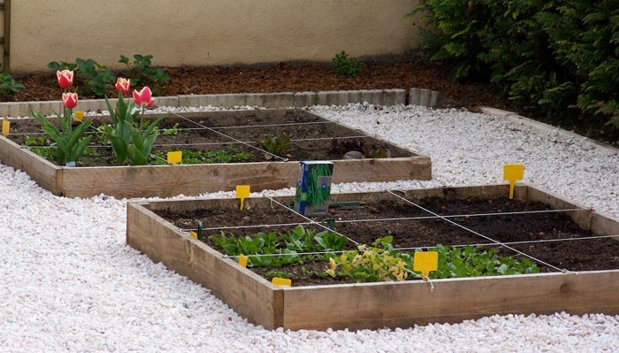 Potager en carré