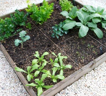 Comment construire son potager en carrés