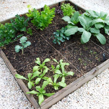 Comment construire son potager en carrés