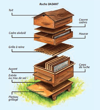 Ruche dadant
