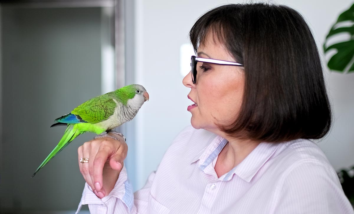 Comment choisir et soigner ses oiseaux de compagnie ?