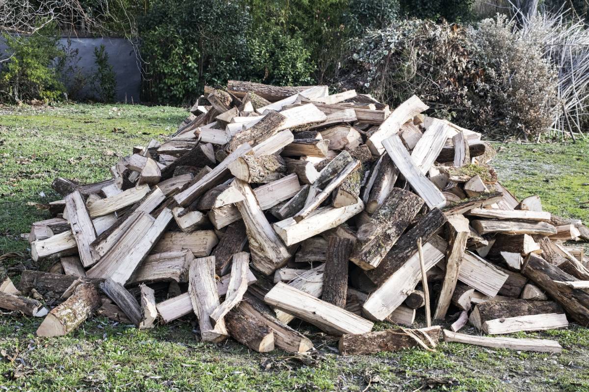 Un tas de bois de chauffage