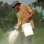 Pourquoi mettre de la chaux dans le jardin est bénéfique ?