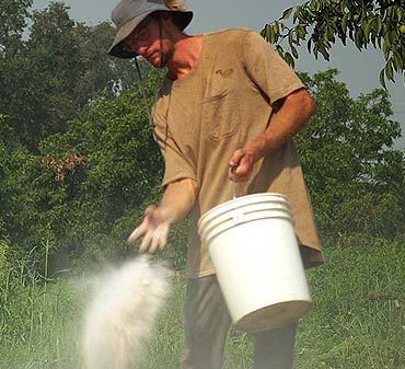 Pourquoi mettre de la chaux dans le jardin est bénéfique ?