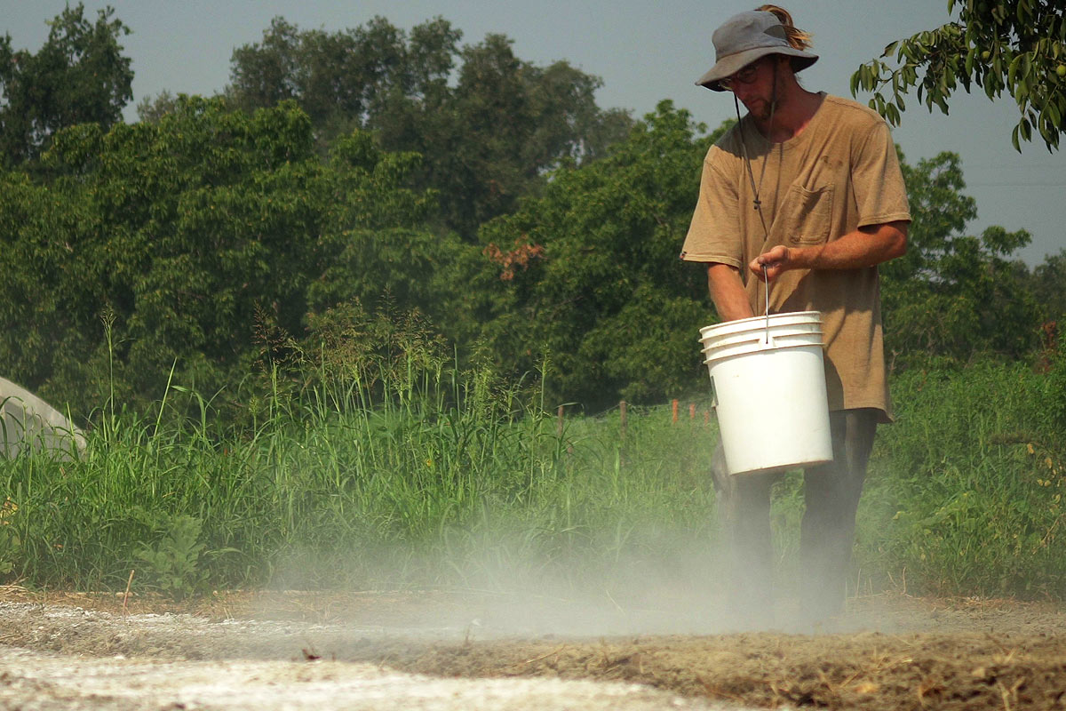 Homme met de la chaux dans son potager