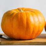 Comment faire pour que les citrouilles ne pourrissent pas ?