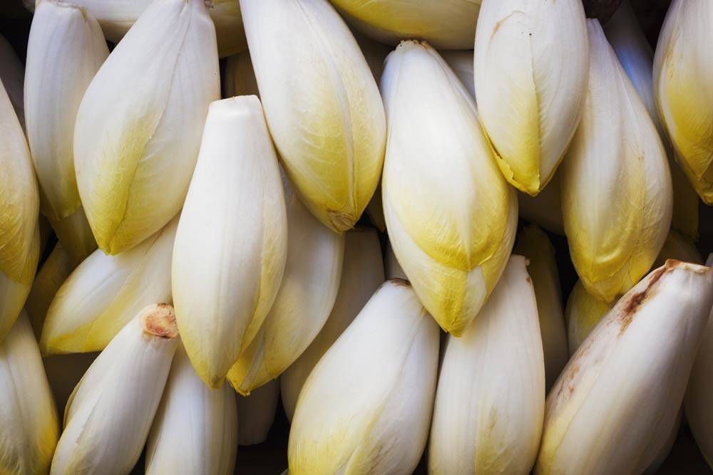 L'endive : un légume apprécié en salade