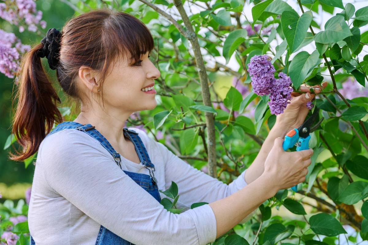 Une femme en train de tailler un arbre au sécateur