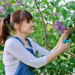 Une femme en train de tailler un arbre au sécateur