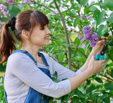 Une femme en train de tailler un arbre au sécateur