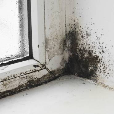 De la moisissure à cause de l'humidité en hiver