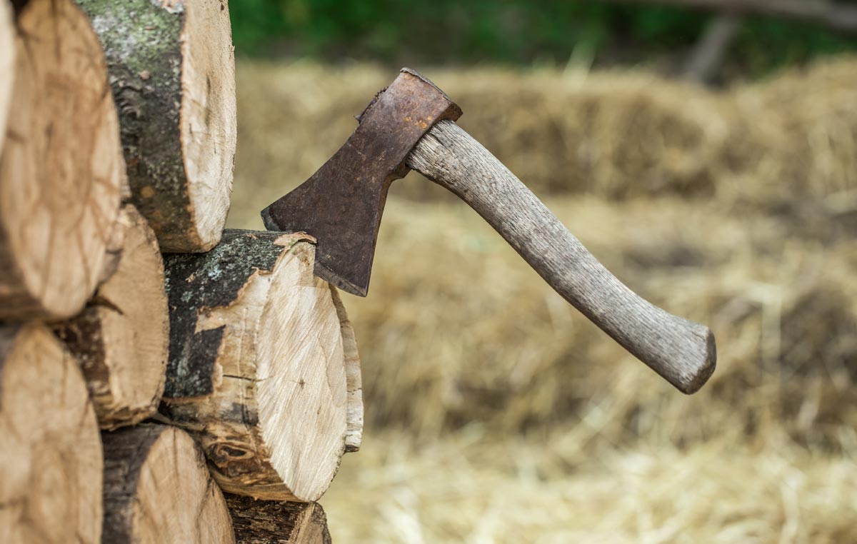 Hâche planter dans un stère de bois