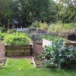 La permaculture : principes et avantages