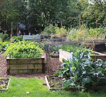 La permaculture : principes et avantages