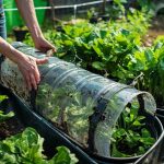 Fabriquer un récupérateur d'eau de pluie : guide pratique et simple