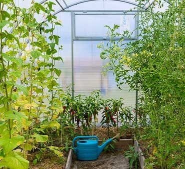 serre de jardin en polycarbonate