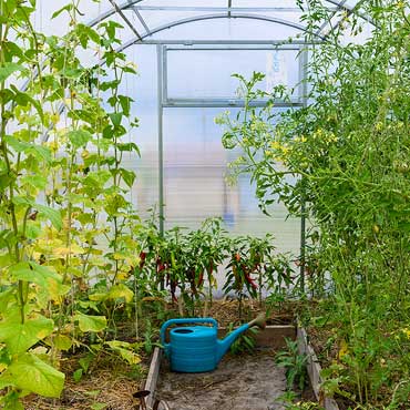 serre de jardin en polycarbonate