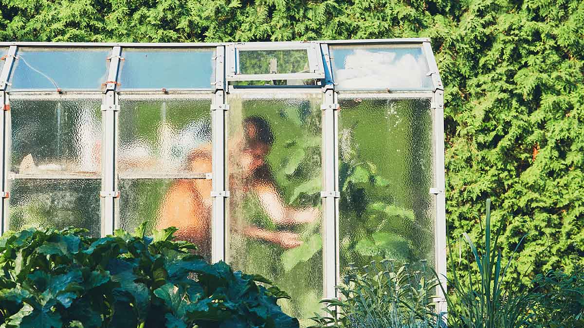 Serre en polycarbonate pour une isolation thermique optimale.