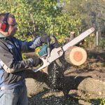 Entretien du jardin. Utilisation d'une tronçonneuse.