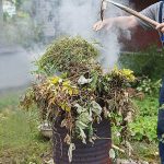 Valoriser ses déchets verts : alternatives au brûlage