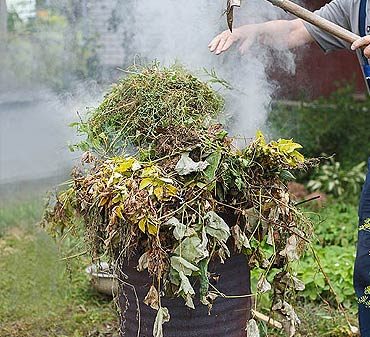 Valoriser ses déchets verts : alternatives au brûlage
