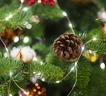 éviter un incendie avec votre sapin de Noël