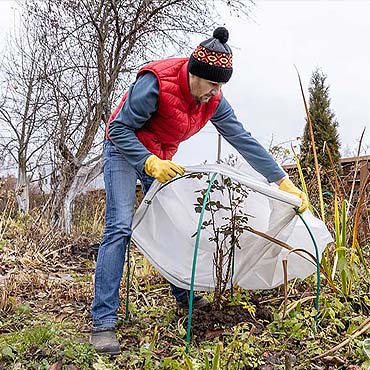 Taille d'automne : comment protéger vos plantes du froid