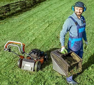 Tonte d'automne : l'erreur fatale pour votre pelouse