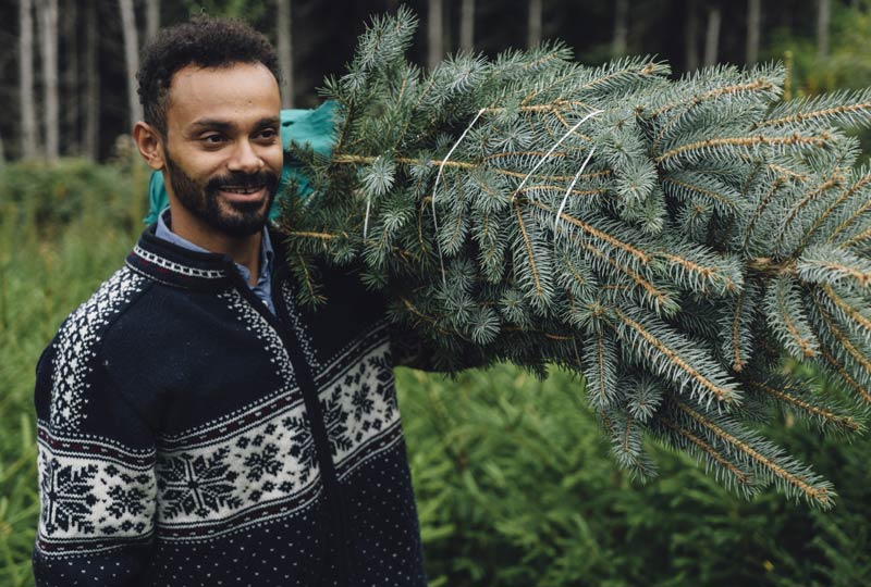Homme qui a choisi son sapin pour Noël