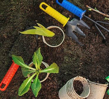 Travaux de décembre au jardin en hiver