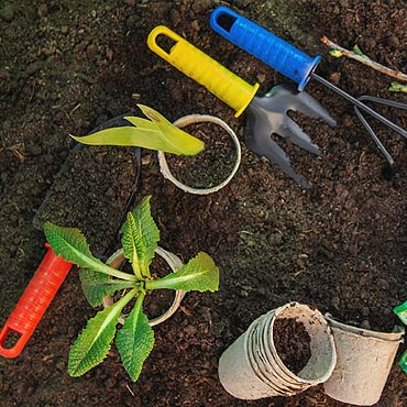 Travaux de décembre au jardin en hiver