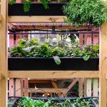 Le jardinage vertical