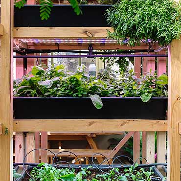 Le jardinage vertical