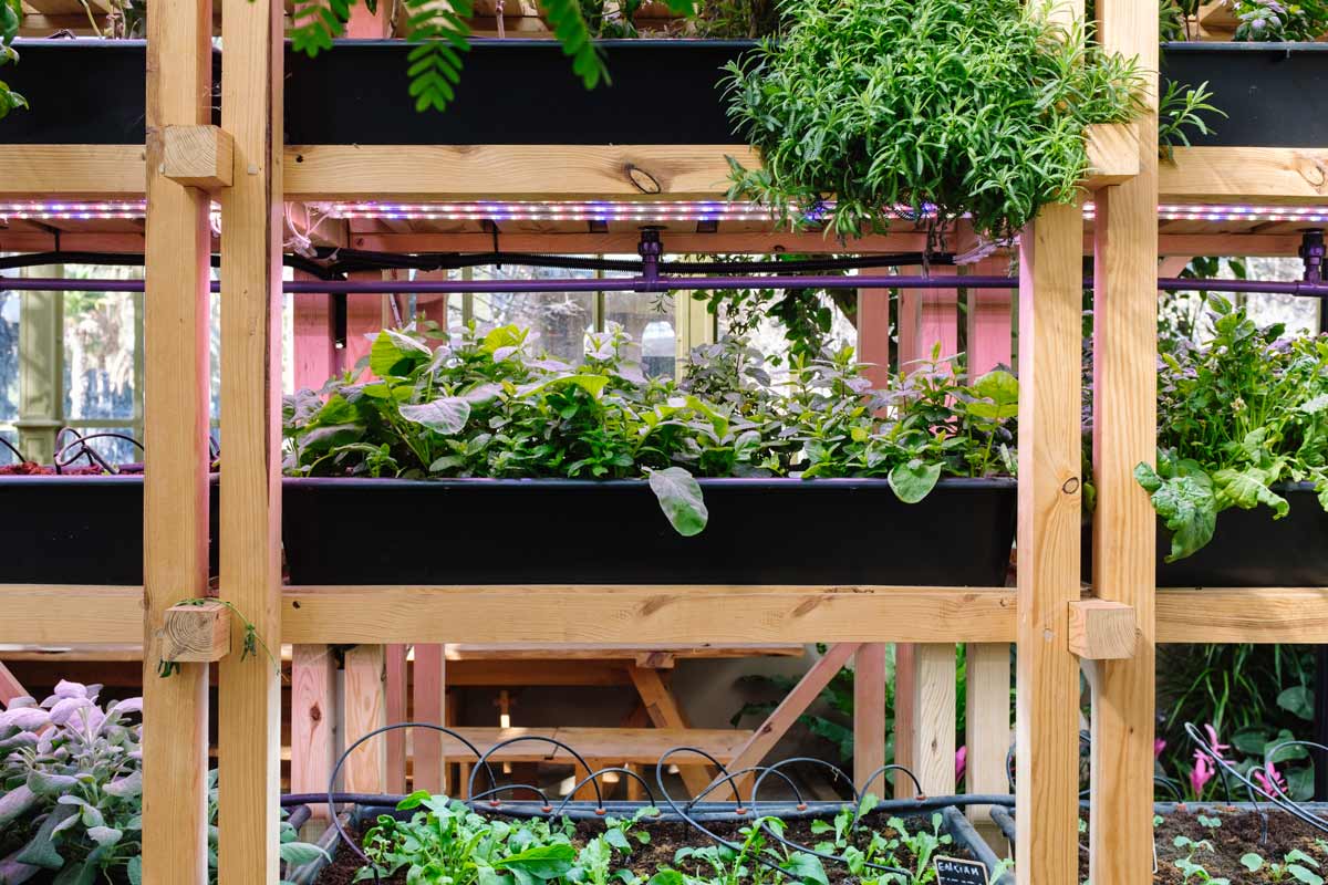 Exemple de potager vertical