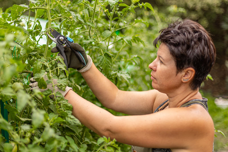 Femme qui jardine à la verticale