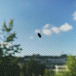 Filet anti-insecte